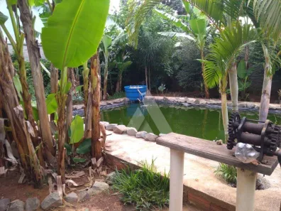 Fazenda/Sítio com 3 Quartos à venda, 200m² no Cercadinho, Alambari