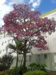 Apartamento com 2 Quartos à venda, 50m² no Vila Padre Manoel de Nóbrega, Campinas