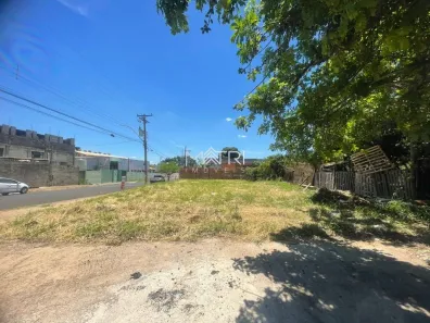 Lote/Terreno à venda, 260m² no Jardim Regina, Araraquara