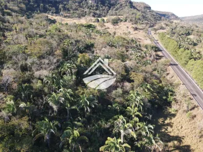 Fazenda/Sítio à venda, 240000m² no Área Rural de Palmas, Palmas