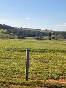 Fazenda/Sítio com 3 Quartos à venda, 1573000m² no Centro, Presidente Prudente