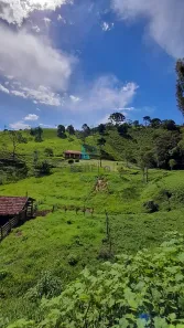 com 3 Quartos à venda, 1m² no , Delfim Moreira