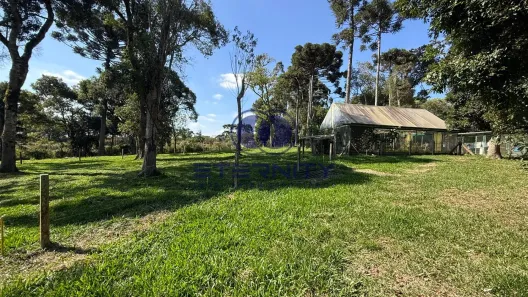 Lote/Terreno à venda, 3215m² no Santo Antônio, Campo Alegre