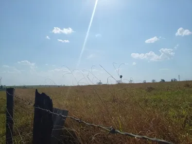 Fazenda/Sítio à venda, 66550m² no Centro, Mirassol