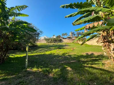 Lote/Terreno à venda, 529m² no Bairro das Palmeiras, Campinas