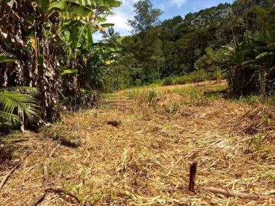 Fazenda/Sítio com 1 Quarto à venda, 2420m² no Vila Menino Jesus, Caçapava
