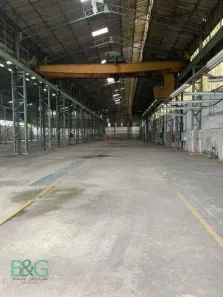 Galpão/Depósito/Armazém à venda, 5000m² no Cangaíba, São Paulo