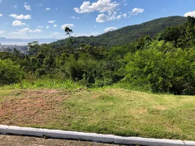 Lote/Terreno à venda, 450m² no Itacorubi, Florianópolis