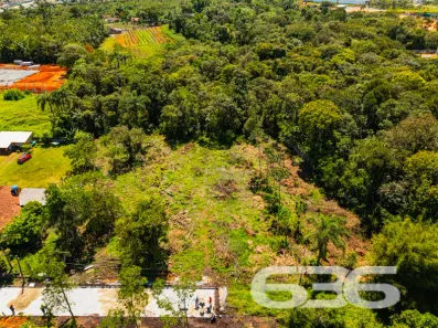 Lote/Terreno à venda, 2500m² no Porto Grande, Araquari