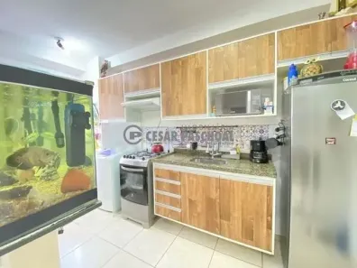 Apartamento com 2 Quartos à venda, 46m² no Vila Virgínia, Ribeirão Preto
