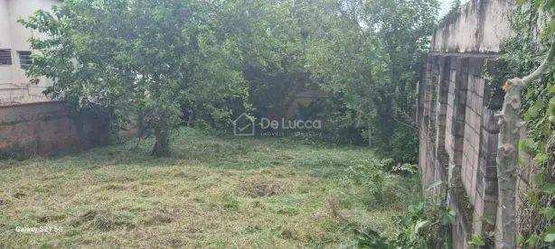 Lote/Terreno à venda, 450m² no Cidade Universitária, Campinas
