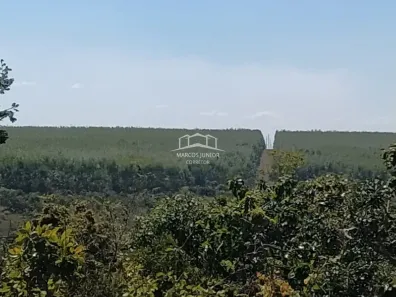 Fazenda/Sítio à venda, 999999999m² no , João Pinheiro