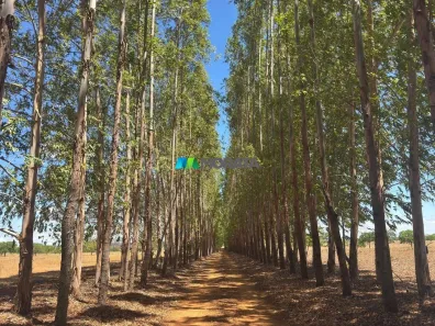 Fazenda/Sítio com 1 Quarto à venda, 267m² no Zona Rural, Bocaiúva