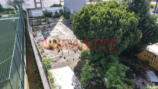 Lote/Terreno à venda, 536m² no Lauzane Paulista, São Paulo
