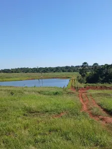 Fazenda/Sítio com 3 Quartos à venda, 3073400m² no Área Rural, Aparecida do Taboado