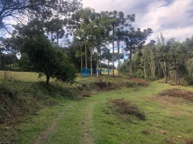 Fazenda/Sítio com 1 Quarto à venda, 78700m² no Parada Cristal, Caxias do Sul