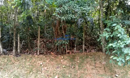 Lote/Terreno à venda, 500m² no Granja Carneiro Viana, Cotia