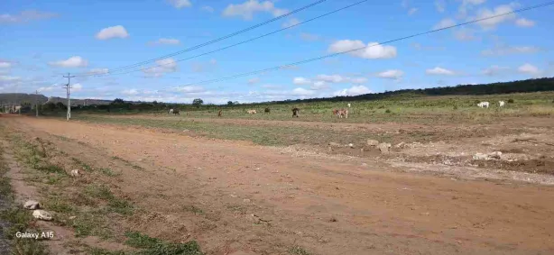 Lote/Terreno com 1 Quarto à venda, 1m² no Primavera, Vitória da Conquista
