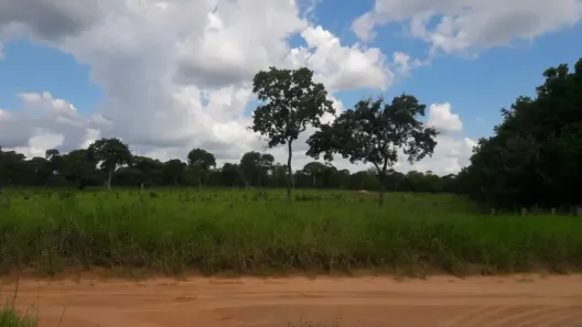 Fazenda/Sítio à venda, 750000m² no , Rochedo