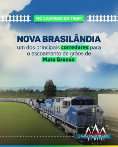 Fazenda/Sítio com 1 Quarto à venda, 366m² no Zona Rural, Nova Brasilândia