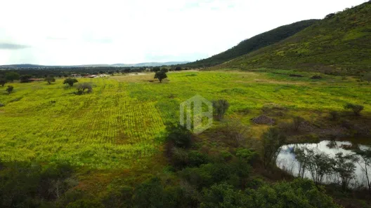 Fazenda/Sítio à venda, 200m² no , Tobias Barreto