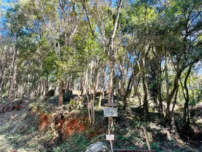 Lote/Terreno à venda, 1085m² no Jundiaizinho (Terra Preta), Mairiporã