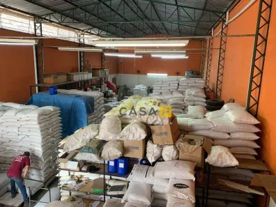 Galpão/Depósito/Armazém à venda, 600m² no Jardim Ipiranga, Americana