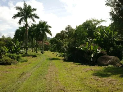 Fazenda/Sítio com 1 Quarto à venda, 122000m² no , Antonina