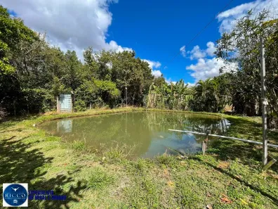 Fazenda/Sítio com 3 Quartos à venda, 7000m² no Vila Grimpas, Hidrolândia