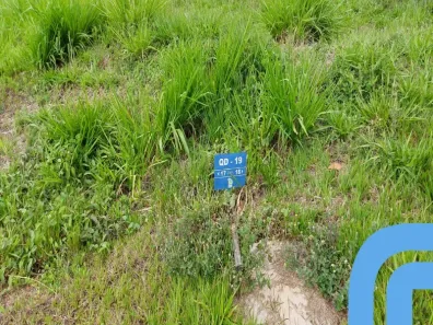Lote/Terreno à venda, 362m² no Jardins Nápoles, Senador Canedo