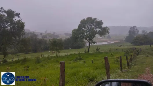 Fazenda/Sítio com 3 Quartos à venda, 310m² no Setor Central, Morro Agudo de Goiás