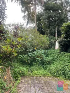 Lote/Terreno à venda, 4239m² no Atiradores, Joinville