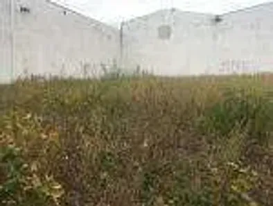 Lote/Terreno com 1 Quarto para alugar, 1m² no Portal de Versalhes 1, Londrina