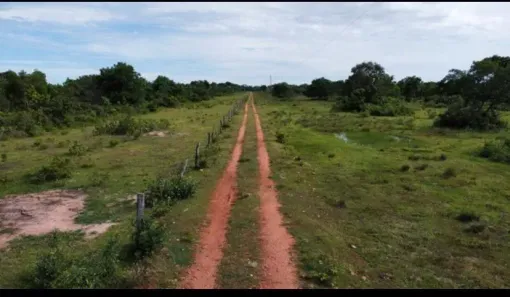 Fazenda/Sítio à venda, 608m² no Centro, Poconé