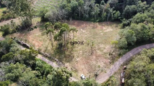 Lote/Terreno à venda, 20000m² no Marcolina Moura, Pinto Bandeira