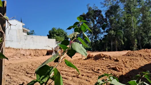 Lote/Terreno à venda, 1106m² no Loteamento Capital Ville, Jundiaí