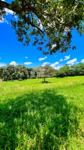 Lote/Terreno à venda, 5098m² no Condomínio Alto da Boa Vista, Senador Canedo