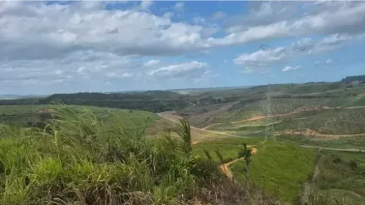 Lote/Terreno com 1 Quarto à venda, 260000m² no Pirapama, Cabo de Santo Agostinho