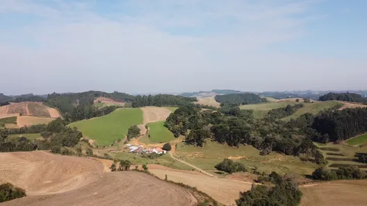 Fazenda/Sítio à venda, 21500m² no , Campo Alegre