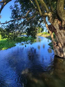 Fazenda/Sítio com 1 Quarto à venda, 720000m² no , Touros