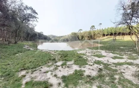 Lote/Terreno à venda, 10000m² no Bateias de Baixo, Campo Alegre