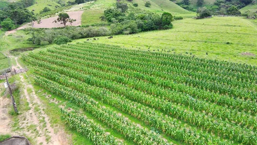 Fazenda/Sítio à venda, 765000m² no , Ouro Fino