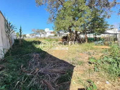 Lote/Terreno à venda, 1200m² no Jardim Karaíba, Uberlândia