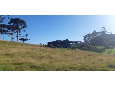 Fazenda/Sítio com 1 Quarto à venda, 195000m² no , Rio dos Cedros