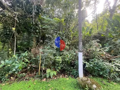 Lote/Terreno à venda, 1539m² no Limoeiro, Guapimirim