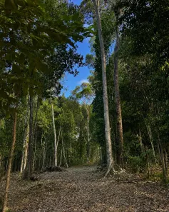 Lote/Terreno à venda, 200m² no , Itacaré