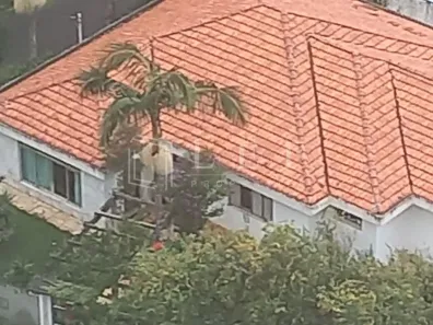 Casa com 4 Quartos para alugar, 362m² no Vila Ida, São Paulo