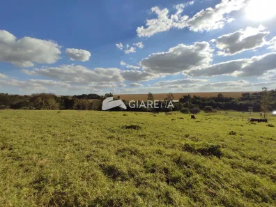 Fazenda/Sítio com 3 Quartos à venda, 920m² no Área Rural de Toledo, Toledo