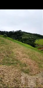 Lote/Terreno à venda, 4561m² no Pedro do Rio, Petrópolis