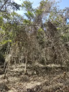Lote/Terreno à venda, 770m² no Araras, Petrópolis